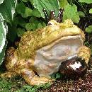 frosch-kugel-keramik.jpg